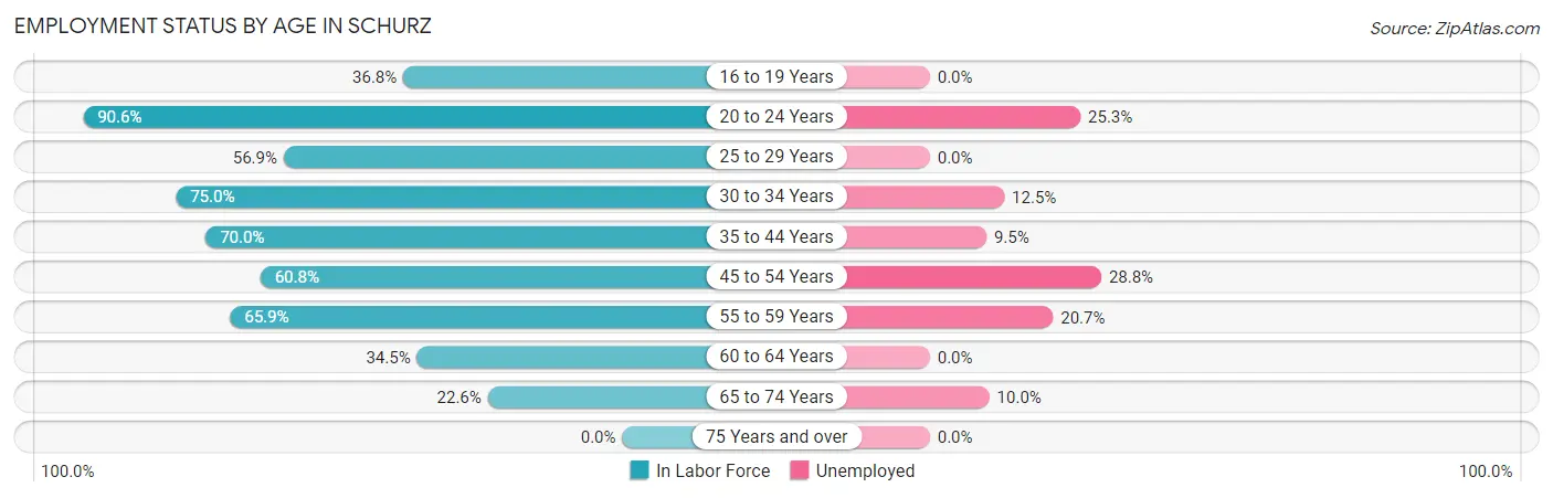 Employment Status by Age in Schurz