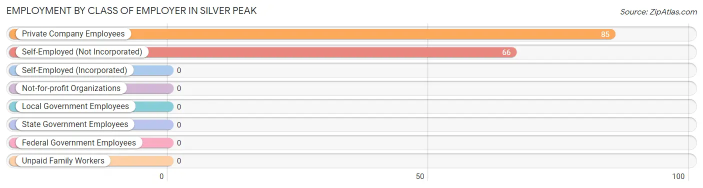 Employment by Class of Employer in Silver Peak