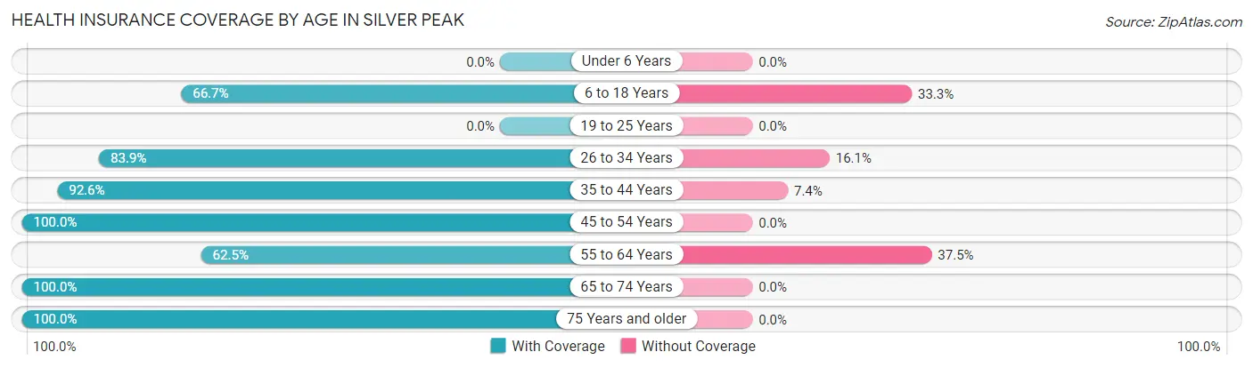 Health Insurance Coverage by Age in Silver Peak