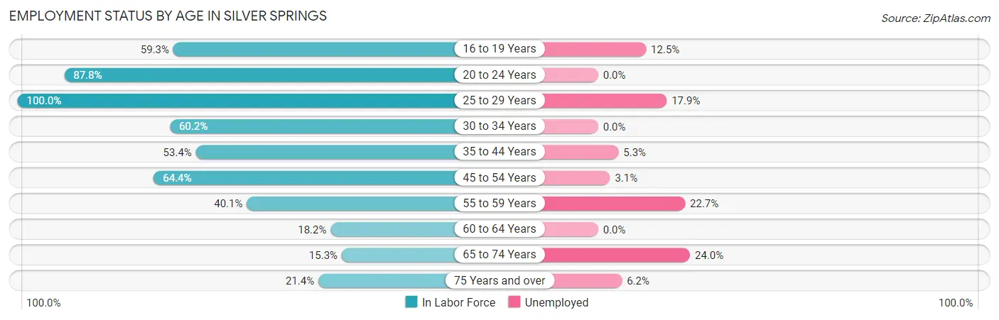 Employment Status by Age in Silver Springs