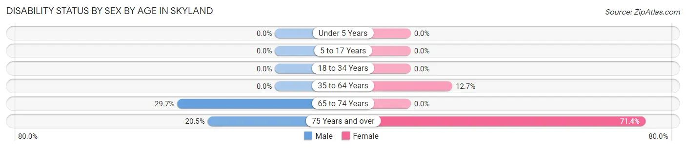 Disability Status by Sex by Age in Skyland