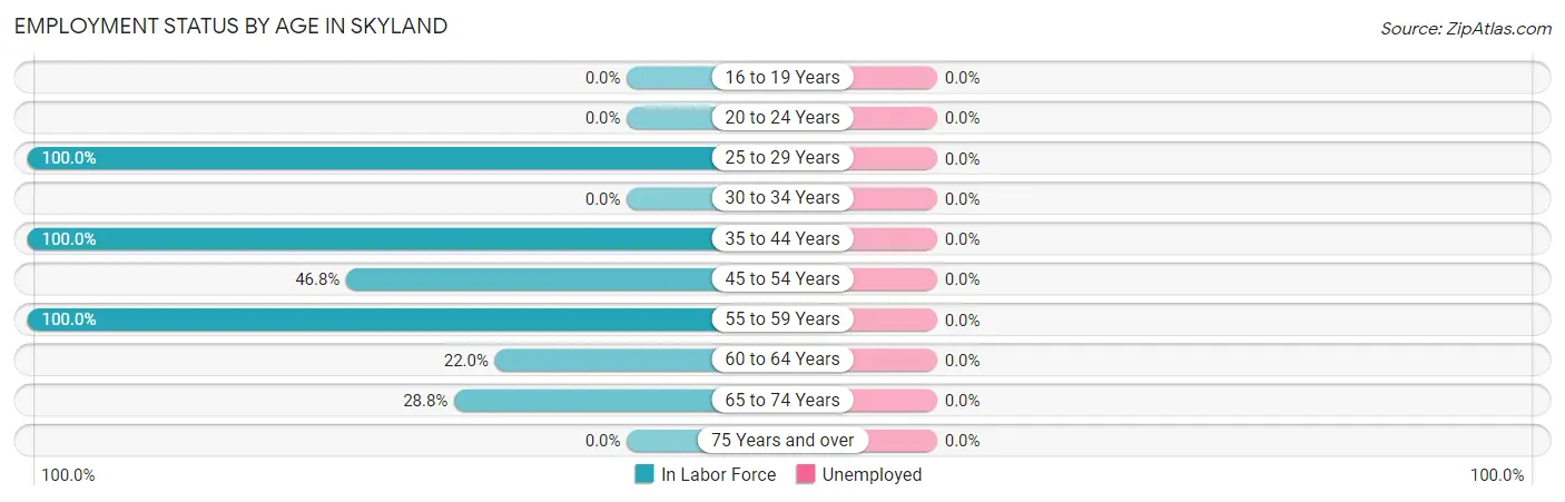Employment Status by Age in Skyland