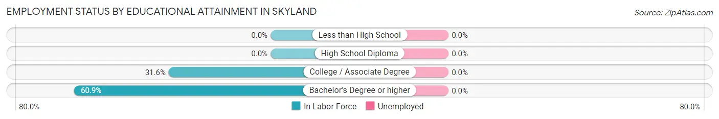 Employment Status by Educational Attainment in Skyland