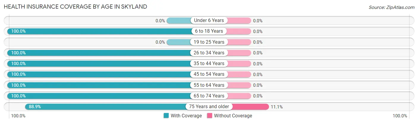 Health Insurance Coverage by Age in Skyland