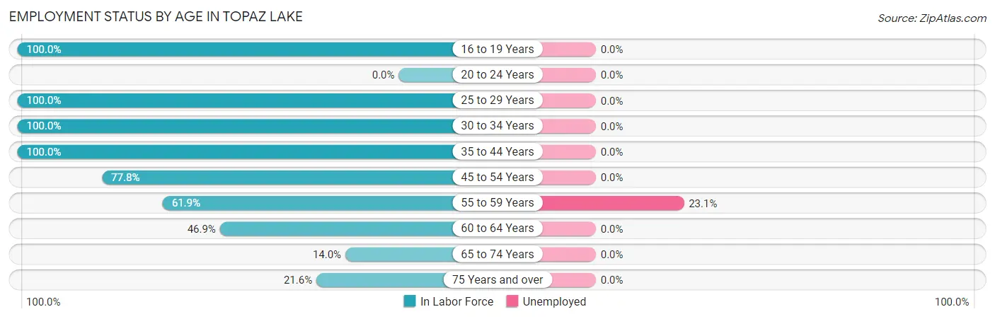 Employment Status by Age in Topaz Lake