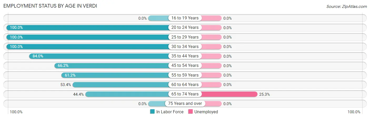 Employment Status by Age in Verdi