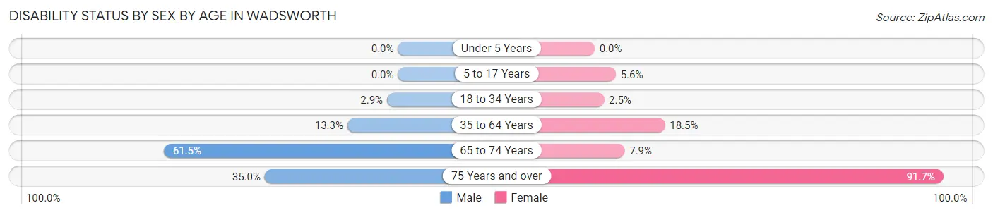 Disability Status by Sex by Age in Wadsworth