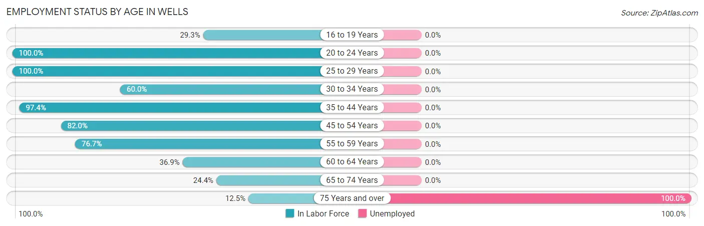 Employment Status by Age in Wells