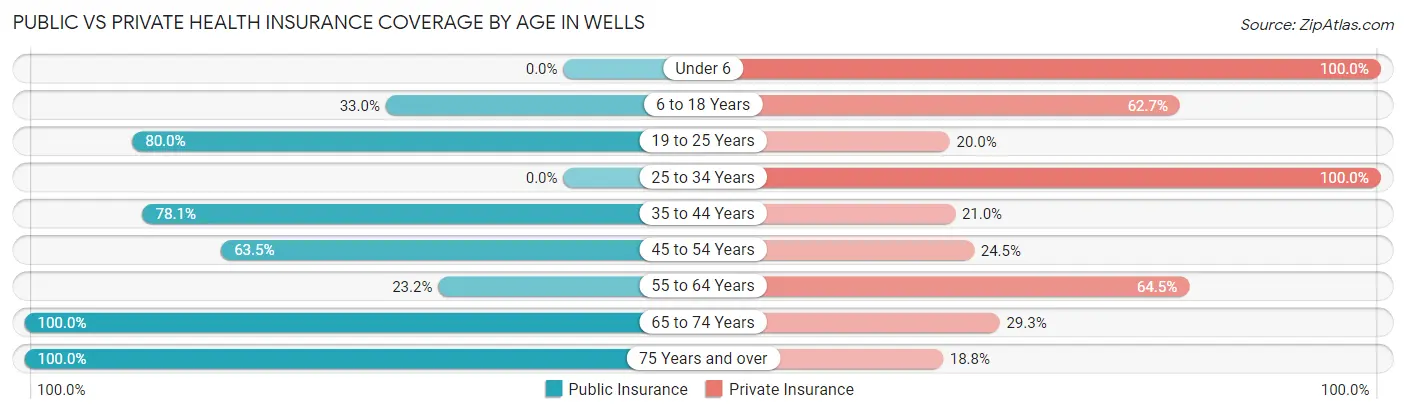 Public vs Private Health Insurance Coverage by Age in Wells