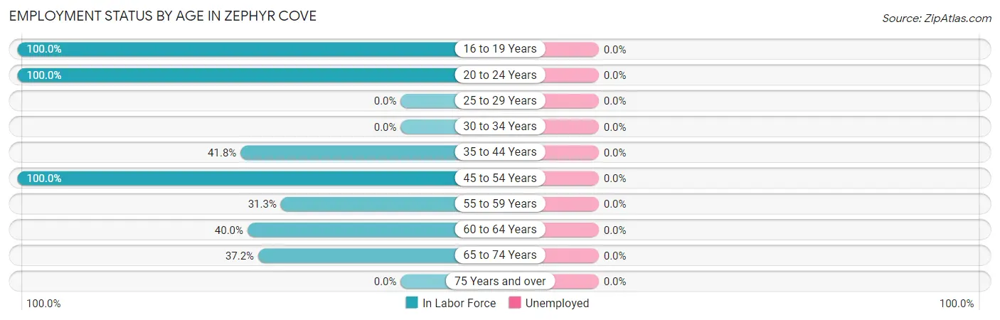 Employment Status by Age in Zephyr Cove