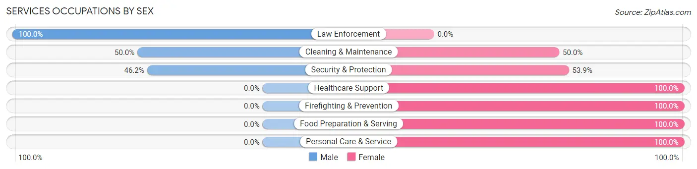 Services Occupations by Sex in Afton