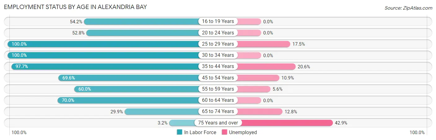 Employment Status by Age in Alexandria Bay