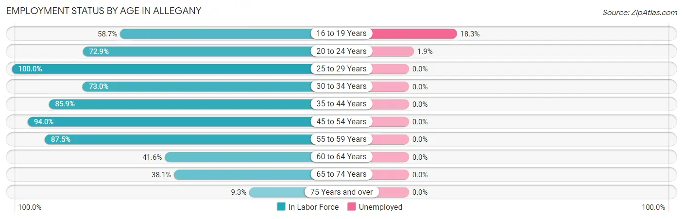 Employment Status by Age in Allegany