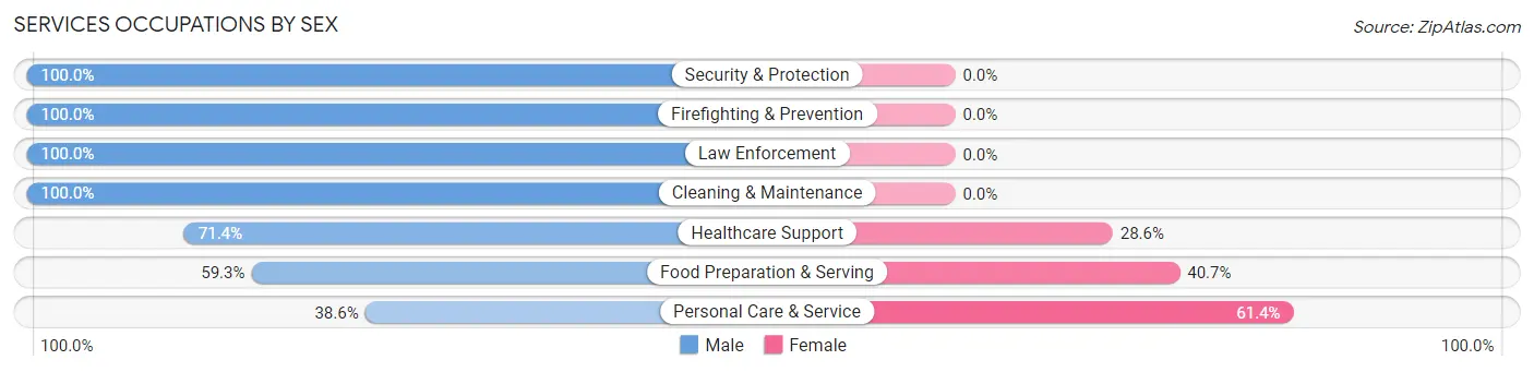 Services Occupations by Sex in Allegany