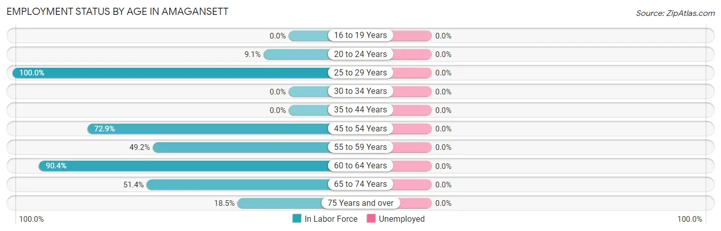 Employment Status by Age in Amagansett