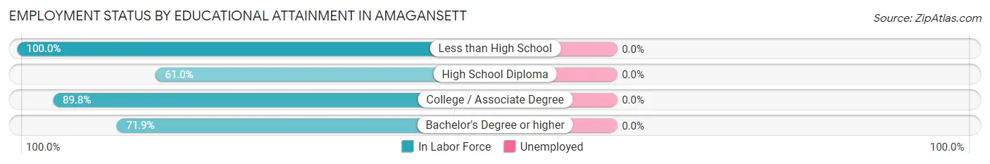 Employment Status by Educational Attainment in Amagansett