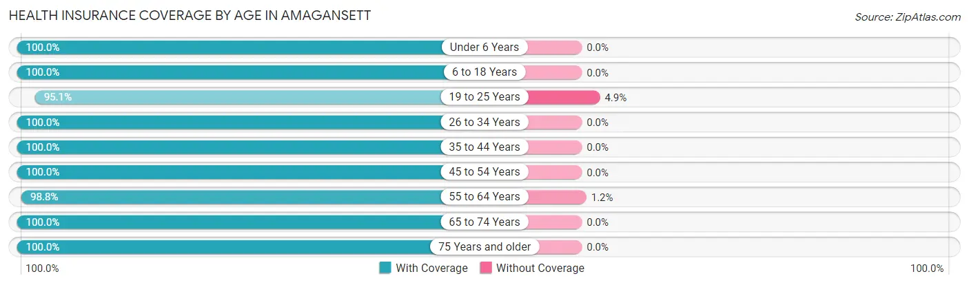 Health Insurance Coverage by Age in Amagansett