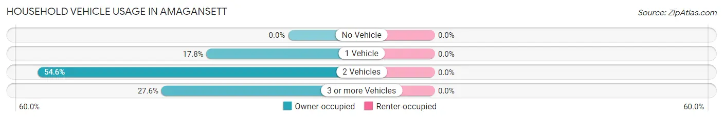 Household Vehicle Usage in Amagansett