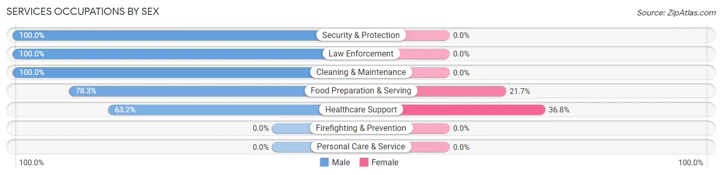 Services Occupations by Sex in Amenia