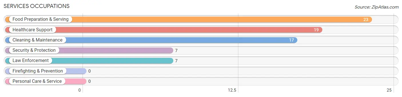 Services Occupations in Amenia