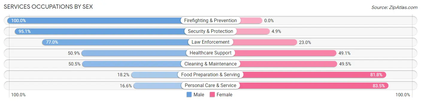 Services Occupations by Sex in Amityville