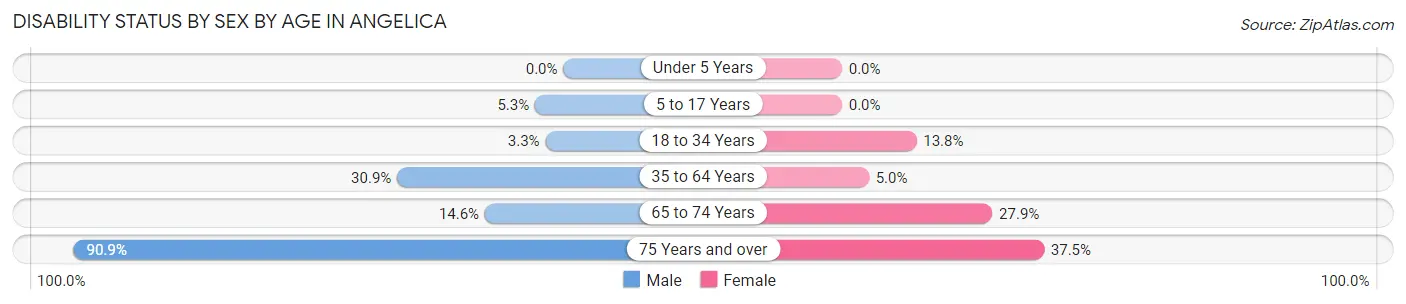 Disability Status by Sex by Age in Angelica
