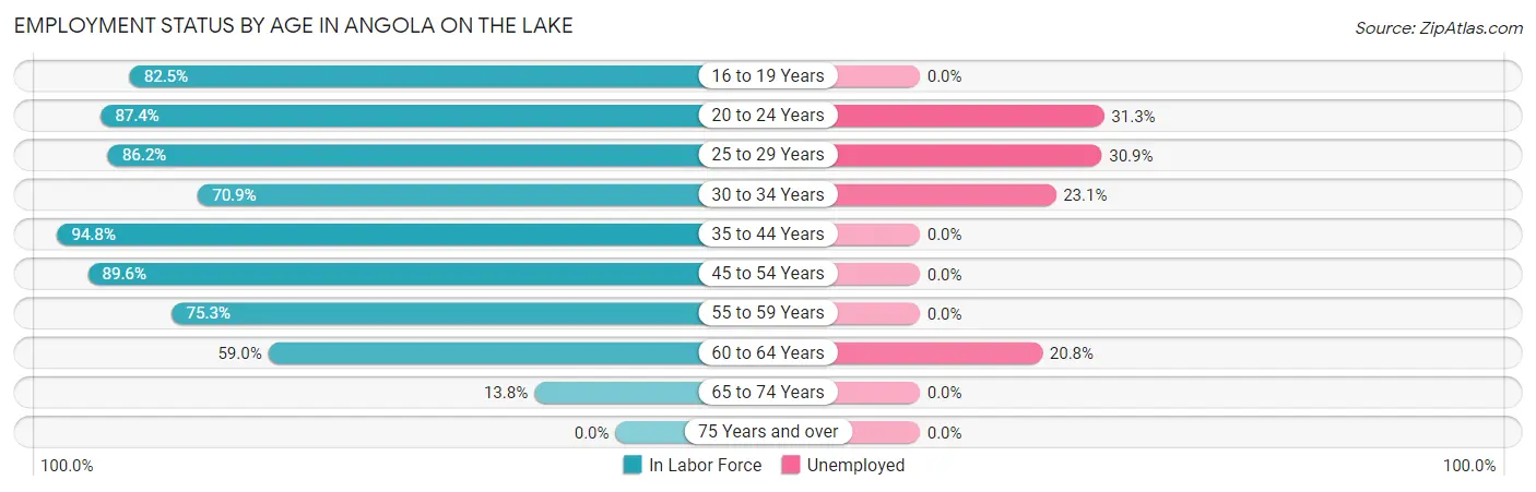 Employment Status by Age in Angola on the Lake
