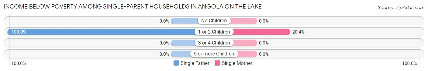 Income Below Poverty Among Single-Parent Households in Angola on the Lake