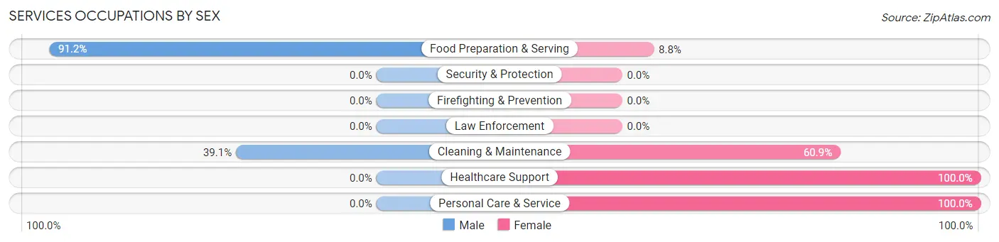 Services Occupations by Sex in Angola on the Lake
