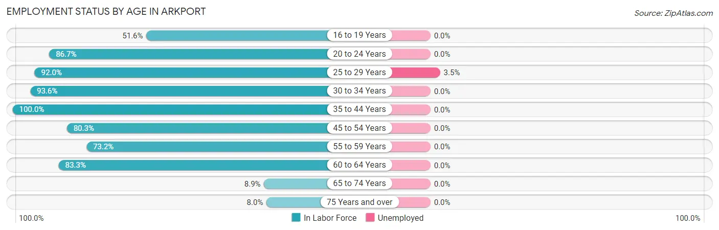 Employment Status by Age in Arkport