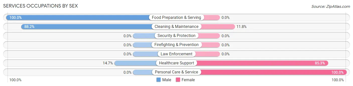 Services Occupations by Sex in Arkport