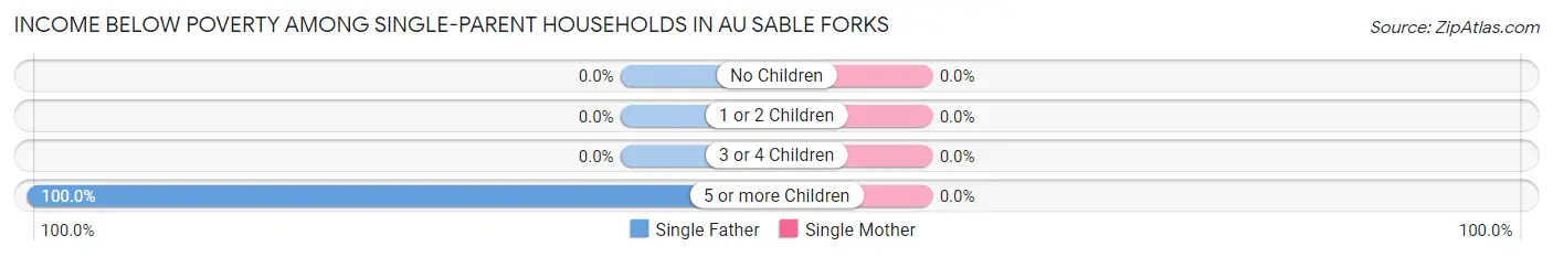 Income Below Poverty Among Single-Parent Households in Au Sable Forks