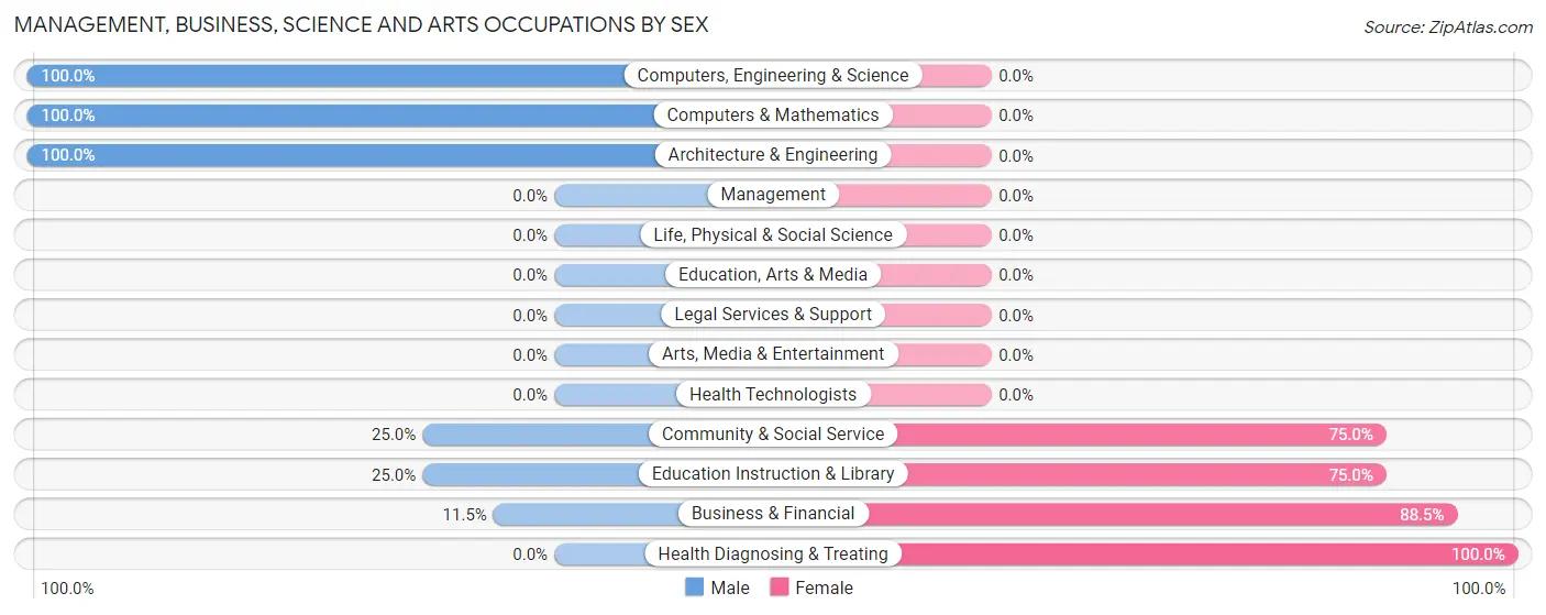 Management, Business, Science and Arts Occupations by Sex in Au Sable Forks