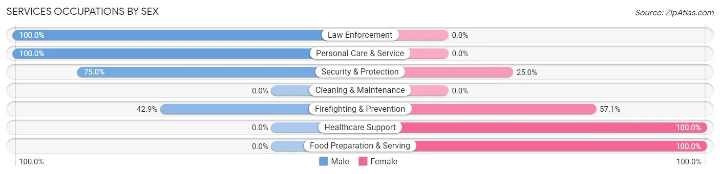 Services Occupations by Sex in Au Sable Forks