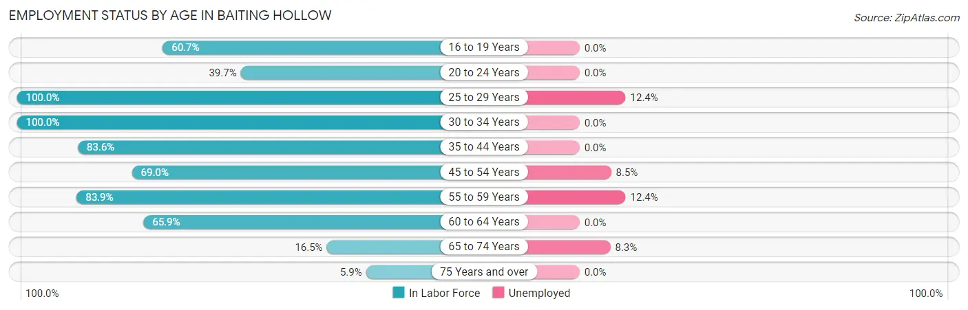 Employment Status by Age in Baiting Hollow