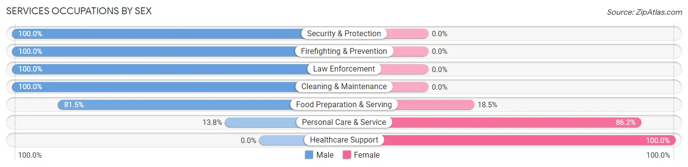 Services Occupations by Sex in Baiting Hollow