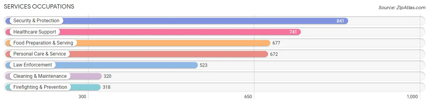 Services Occupations in Baldwin