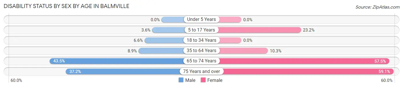 Disability Status by Sex by Age in Balmville