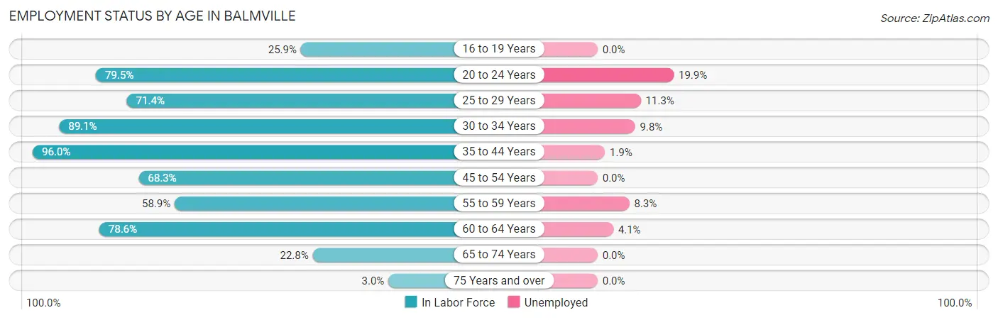 Employment Status by Age in Balmville