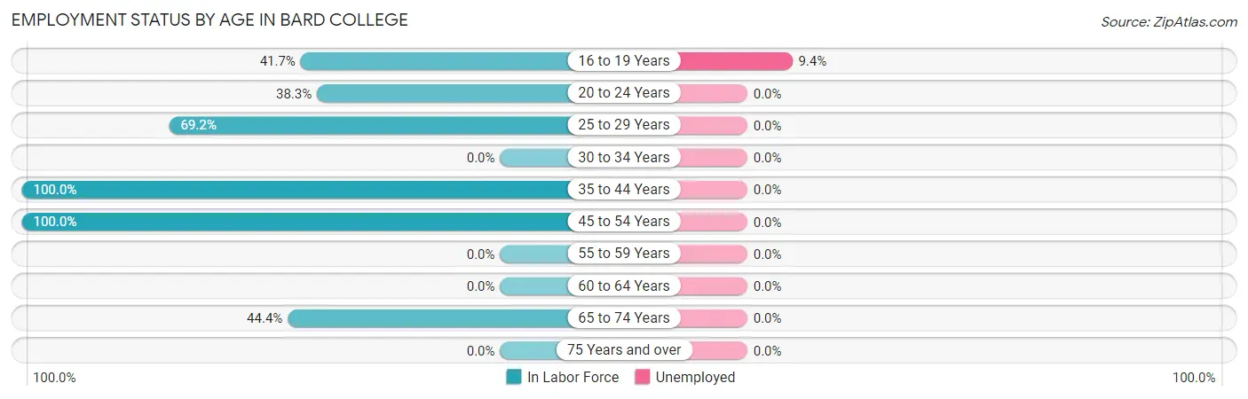 Employment Status by Age in Bard College