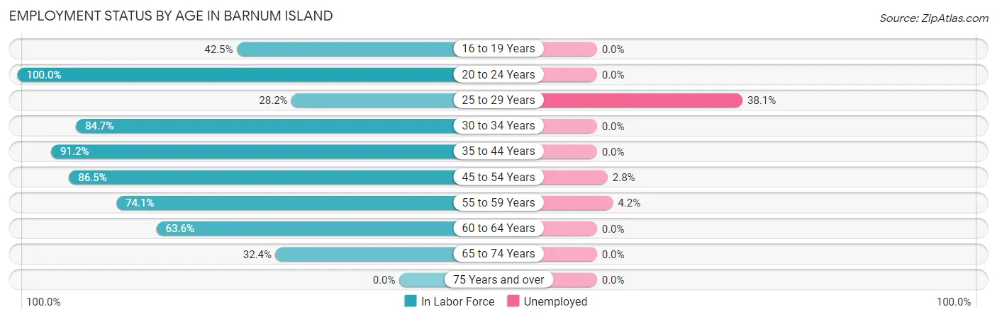 Employment Status by Age in Barnum Island