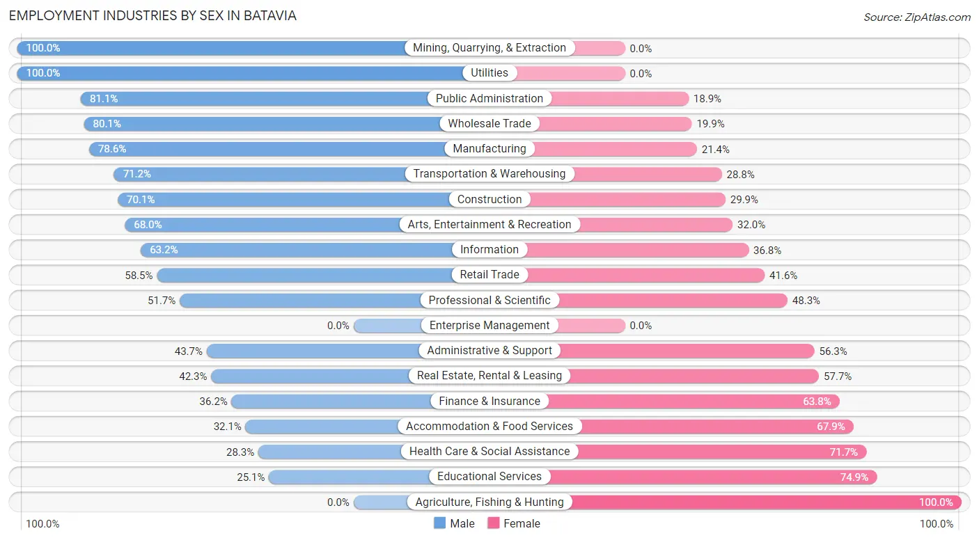 Employment Industries by Sex in Batavia