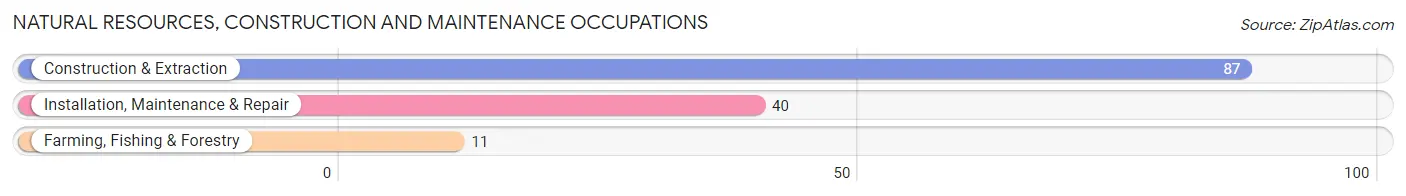 Natural Resources, Construction and Maintenance Occupations in Bath