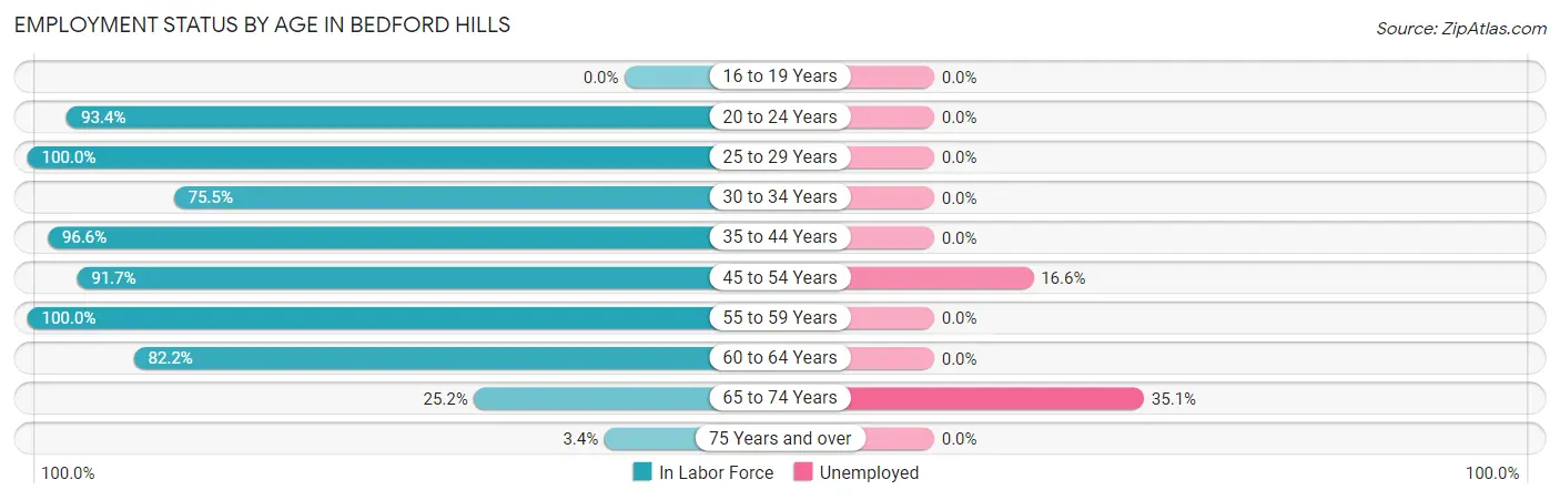 Employment Status by Age in Bedford Hills