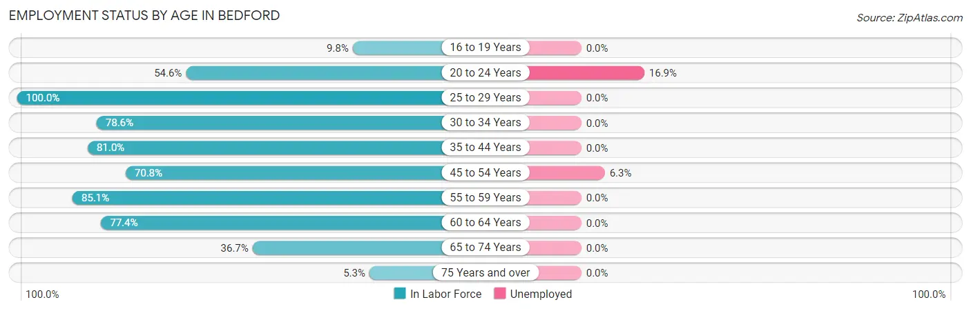 Employment Status by Age in Bedford