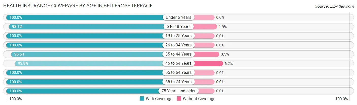 Health Insurance Coverage by Age in Bellerose Terrace