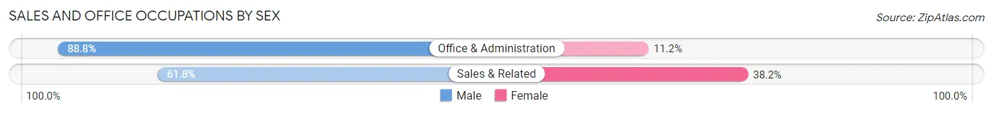 Sales and Office Occupations by Sex in Bellerose Terrace