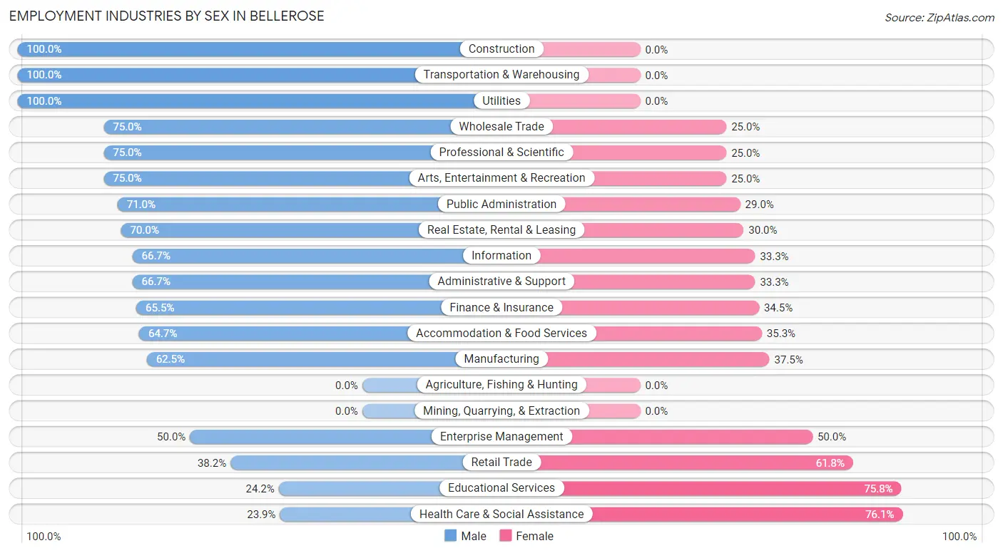 Employment Industries by Sex in Bellerose