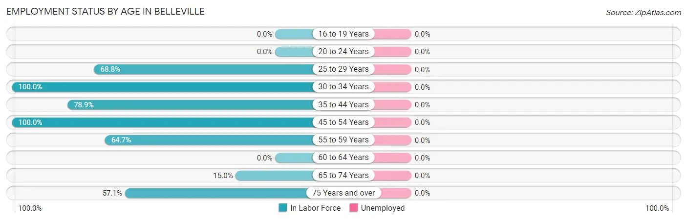 Employment Status by Age in Belleville