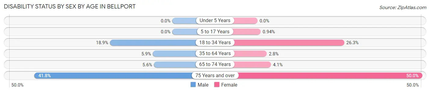 Disability Status by Sex by Age in Bellport